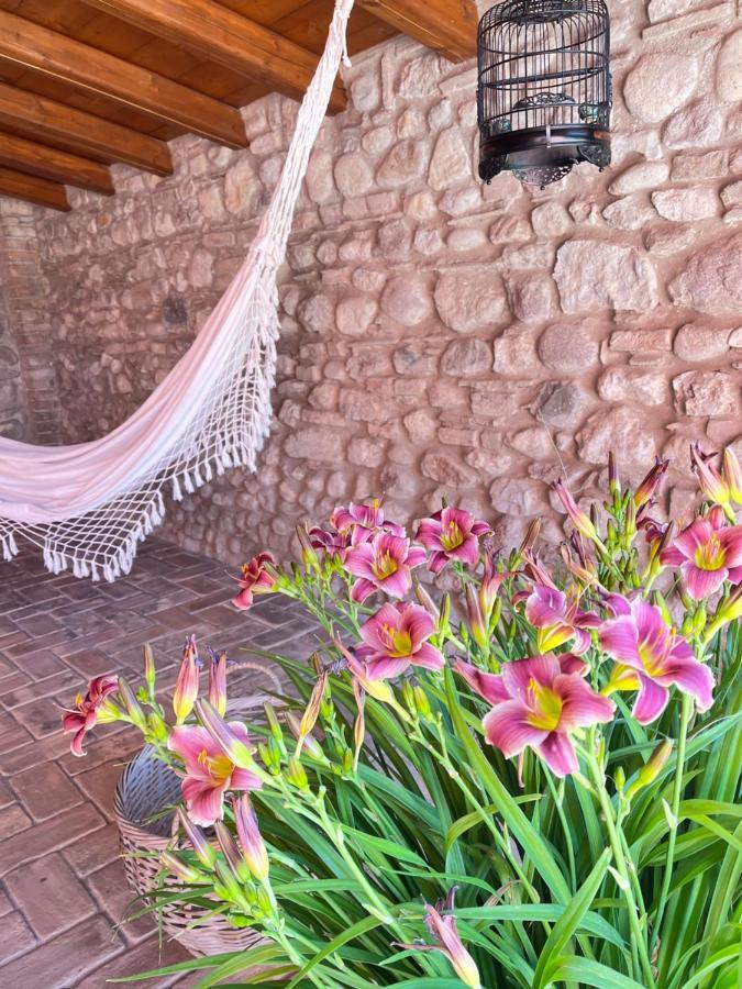 Le Mansarine Charme B&B Castellaro  Exterior foto